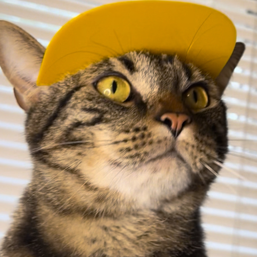 IMG_3977.png Baseball Cat Cap