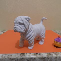 P1070497.jpg Sharpei puppy - dog statue 3d printable high poly