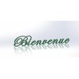 Bienvenue-Copie.jpg Welcome 3D