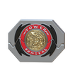 IMG_1494.png Mighty Morphin Power Rangers Morpher Red Ranger