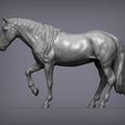 horse-3d-model-7964da77f3.jpg Horse 3D print model