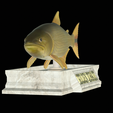 Golden-dorado-statue-5.png fish golden dorado / Salminus brasiliensis statue detailed texture for 3d printing