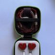 photo_2024-12-30-11.10.16.jpeg Estuche organizador para auriculares KZ ZS6 IEM