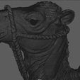WIREFRAME.jpg Detailed Arabian Camel - Saddled Desert Mount