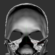 23.png Dog Skull Scary mask for cosplay