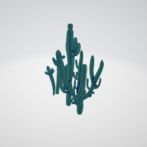 🌵 Cactus growth different species for desert or home・Free STL File for ...