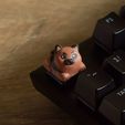Dogys_keycaps-11.jpg Doggies Tastenkappen - Mechanische Tastatur