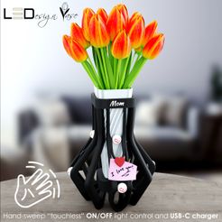 LEDesign-Vase1a.jpg LED-Design Vase