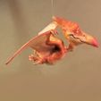 IMG_0699.jpeg Cute Pterosaur Flying Dinosaur stl