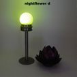Nightflower-d2.jpg Nightflower-d