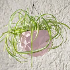 hanging_planter_small.jpg Free STL file Geodesic Hanging Planter Pot・Object to download and to 3D print