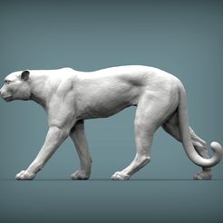 cheetah1.jpg Cheetah 3D print model