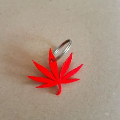 20170427_195042.jpg Cannabis leaf key holder