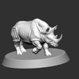 1761737491749.jpg Rhinoceros