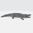 Crocodile_S2.png Crocodile low poly