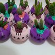 planter.jpg FIORIERA PUSHEEN