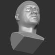 24.jpg Joe Rogan bust for 3D printing