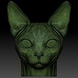 21.jpg Sphynx cat head for 3D printing