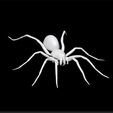 spider1.jpg Spider