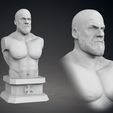 10-TripleH_Current_Cover.jpg Triple H Bust - Classic and Current Versions