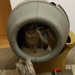 20191123_172852.jpg Free STL file Self cleaning cat toilett / Cat litter box・Object to download and to 3D print, Der_Stihl