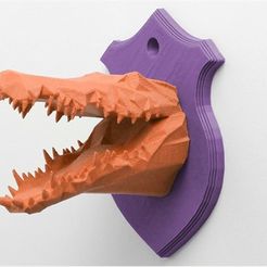 a_F92O451UAJ.jpg Crocodile Head