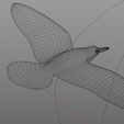 drs.jpg Seagull simple 3d print