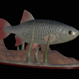 Perlin-10.png fish common rudd statue detailed texture for 3d printing