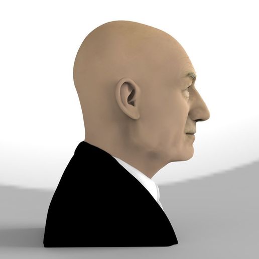 professor-x-charles-xavier-bust-ready-for-full-color-3d-printing-3d-model-obj-mtl-fbx-stl-wrl-wrz-6.jpg Professor X Charles Xavier from X-Men bust full color 3D printing