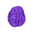 Brain.stl Мозг человека