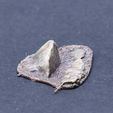 IMG_7321.jpg Basing Rocks (print-in-bulk)