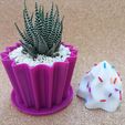 IMG_20220227_172647.jpg CUPCAKE ORGANIZER / PLANTER - POT