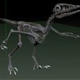Archaeopteryx-6.jpg archaeopteryx SKELETON - FULL 3D archaeopteryx DINOSAUR BONES