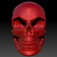 Skull5_display_large.jpg Archivo STL gratis Cráneo・Plan de impresión en 3D para descargar, Dourgurd