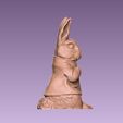 9.jpg Peter Rabbit
