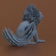 zow.521.jpg Harry Potter - Zouwu