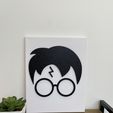 IMG_9665.jpg ROSTRO HARRY POTTER - CUADRO - HARRY POTTER