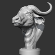 04.png Buffalo_Head_AM03 3D print model