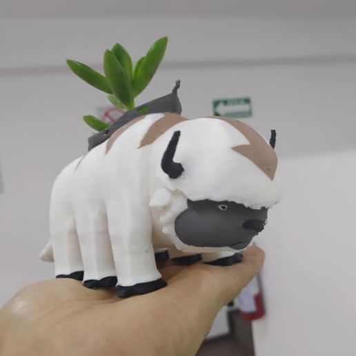 120746966_766035167288911_948938217930196063_n.jpg APPA PLANTER AVATAR