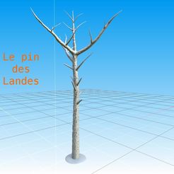 pin des landes.jpg Pack of 2 Pins of the moors