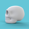 skullform2.png Skull Form Art Sculpture