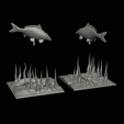 carp-scenery-45cm-27.png two carp scenery in underwather for 3d print detailed texture