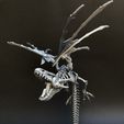 IMG_E4370.jpg Biting dragon skeleton