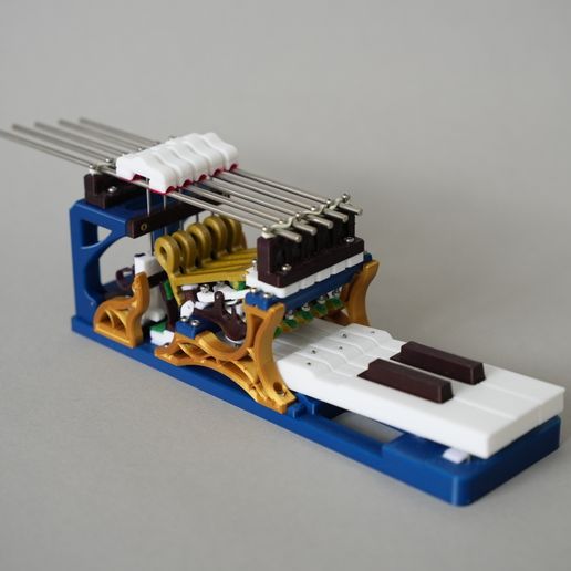 DSC02565.jpg Mécanisme d'action du piano à queue (5 touches)