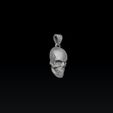 233211322321300.jpg Подвеска-череп Версия 2 3D модель для печати