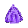789513050_20240502_1036_Tech_01_D_P_HaD_flex_UnsectionedModel_UpperJaw.stl DIGITAL PARTIAL REMOVABLE DENTURES ( upper + lower + 3D MODELS) - flexible
