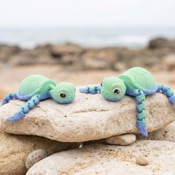 Simpática tortuga articulada Flexi