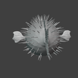 Screenshot-2025-04-07-232529.png puffer fish