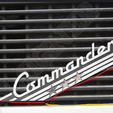 2.png Commander badge for MAN