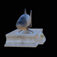 Salmon-statue-6.png Atlantic salmon / salmo salar / losos obecný fish statue detailed texture for 3d printing